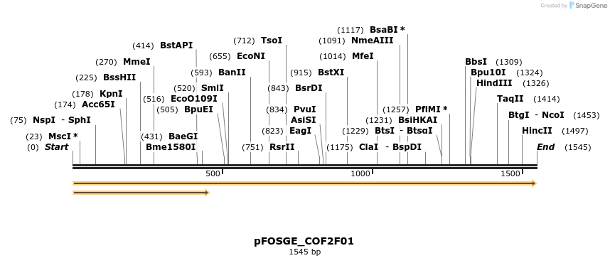 126809_map
