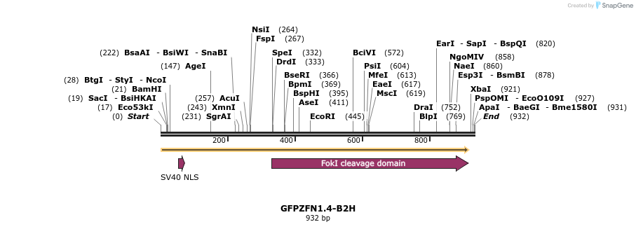 12681_map