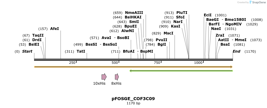 126811_map