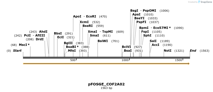 126812_map