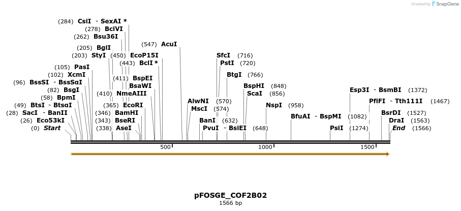 126813_map