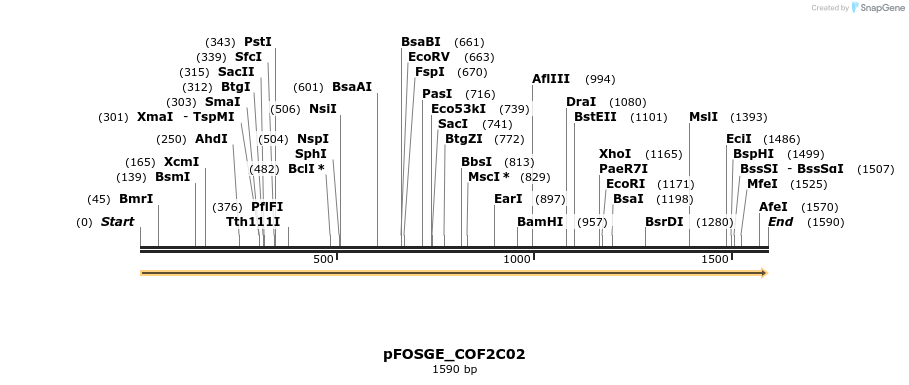 126814_map