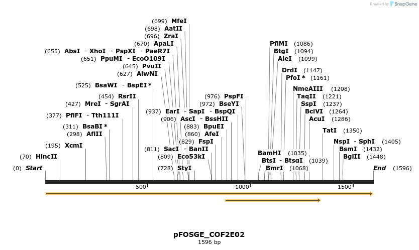 126816_map