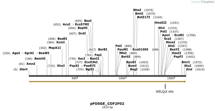 126817_map