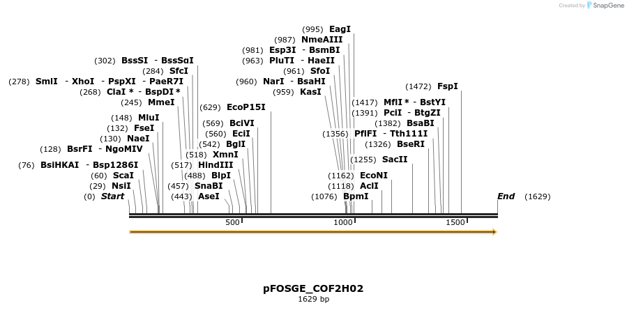 126819_map