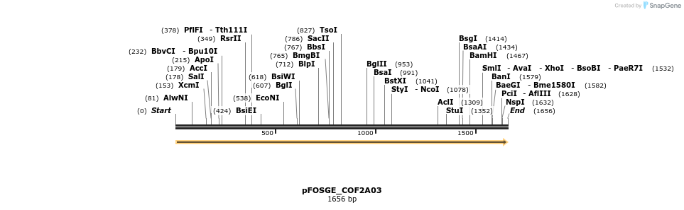 126820_map