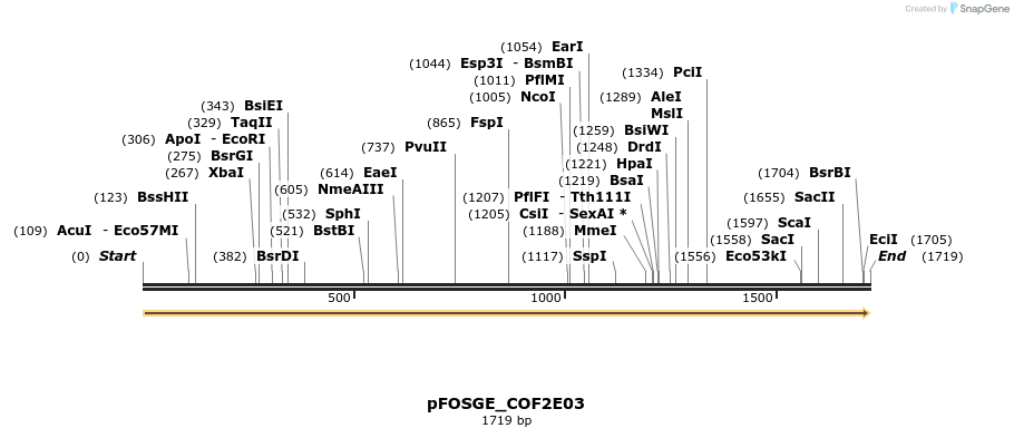 126822_map
