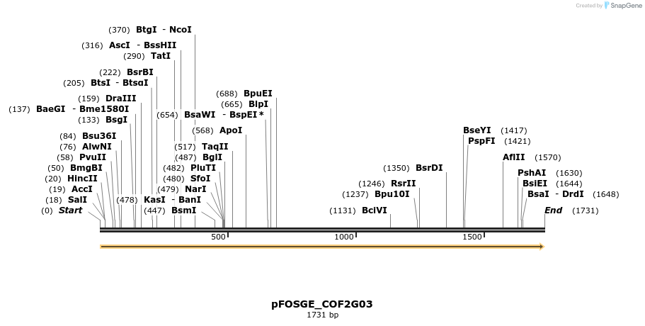 126824_map