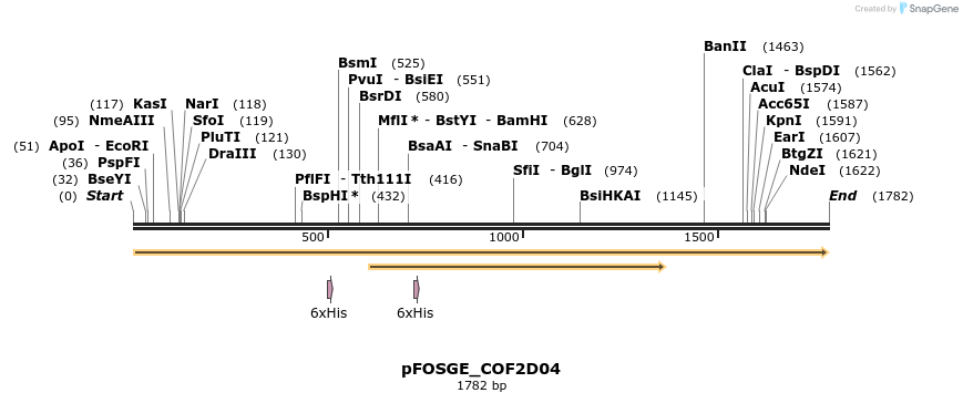 126828_map