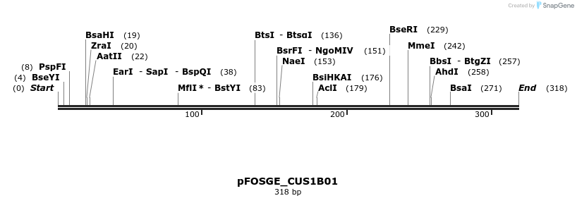 126829_map