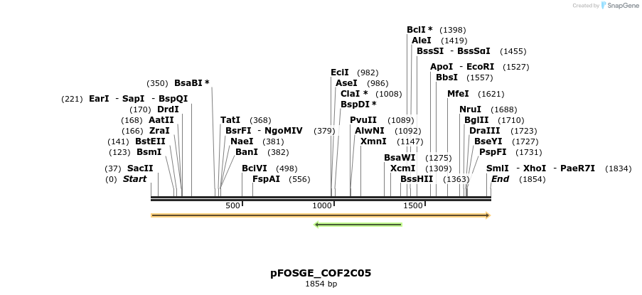 126833_map