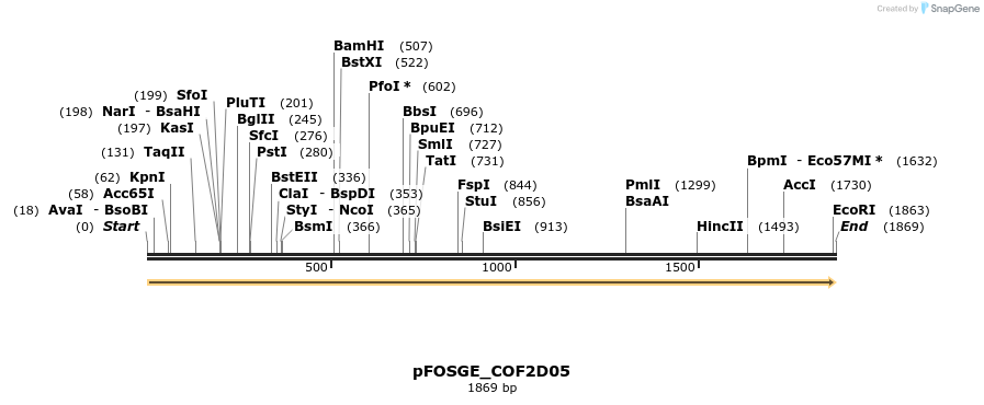 126834_map