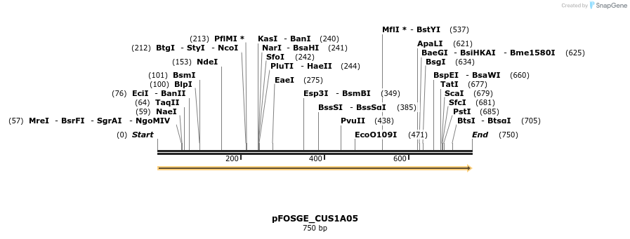 126836_map