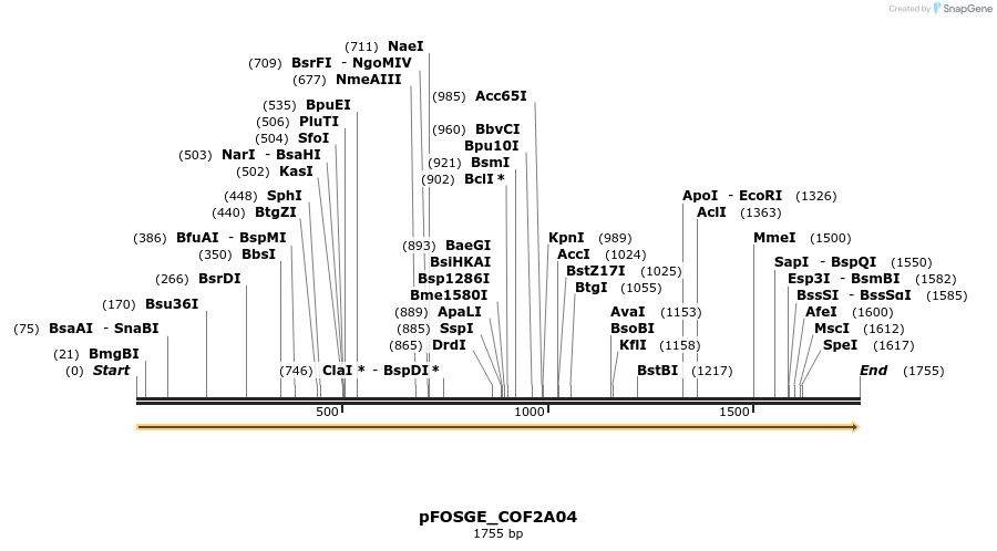 126838_map
