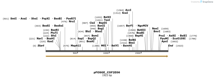 126841_map