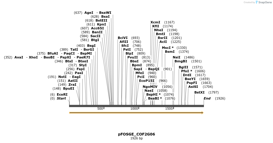 126842_map