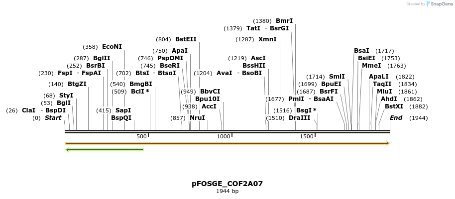 126844_map