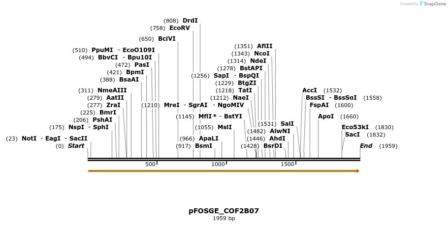126845_map