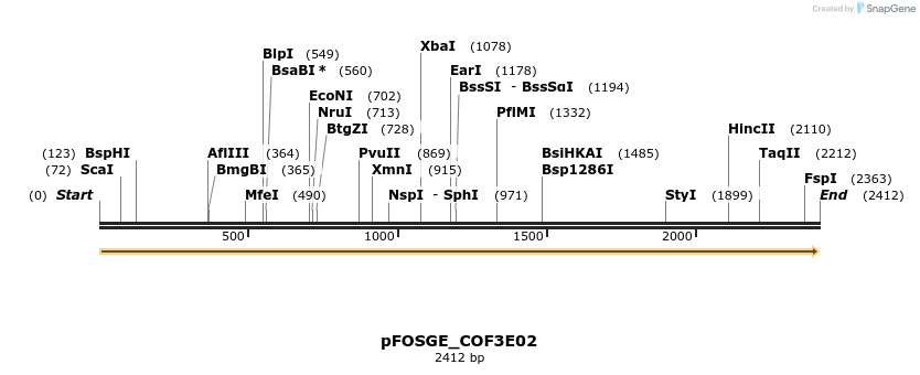 126848_map