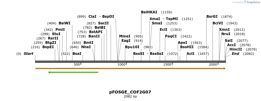 126849_map