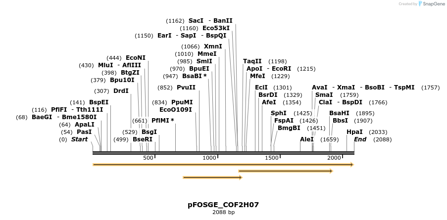 126850_map