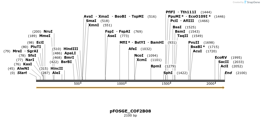 126852_map
