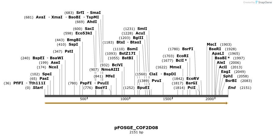 126854_map
