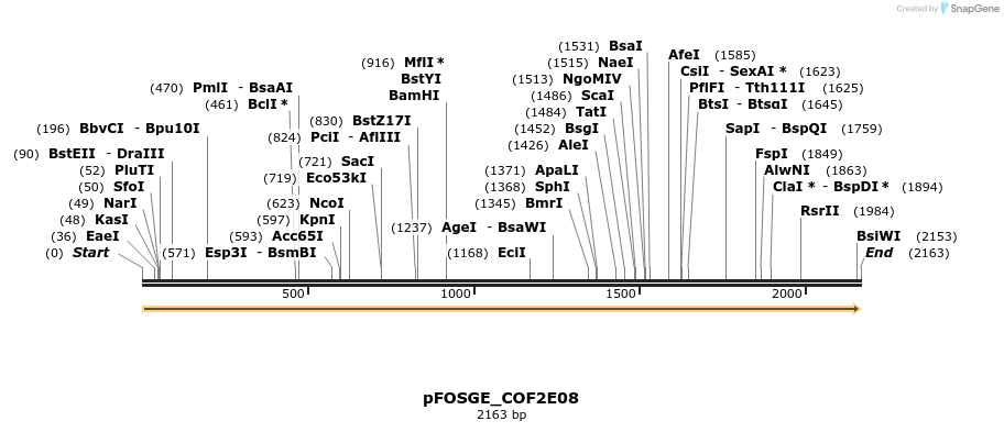 126855_map