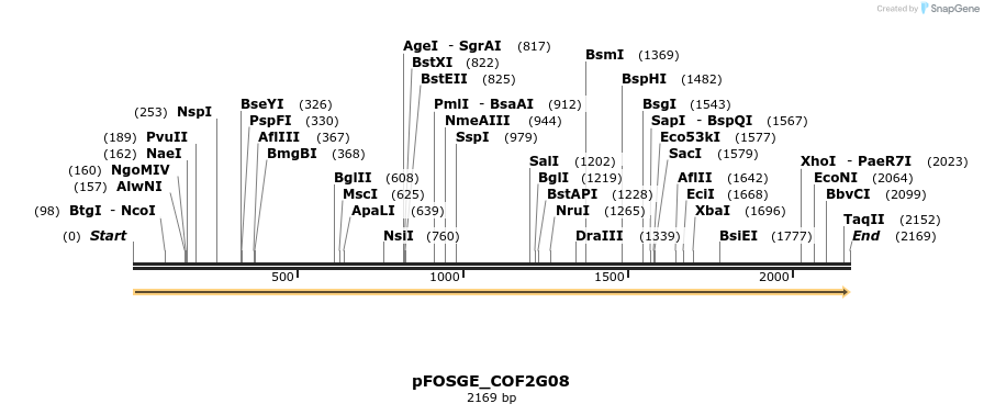 126857_map