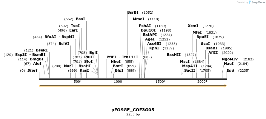 126859_map
