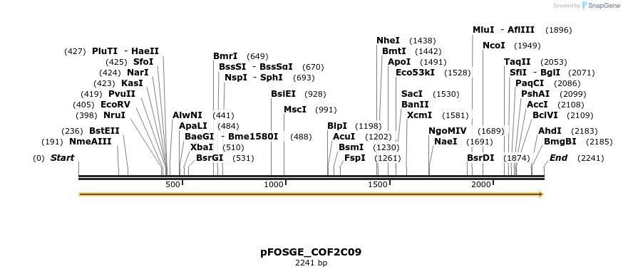 126861_map