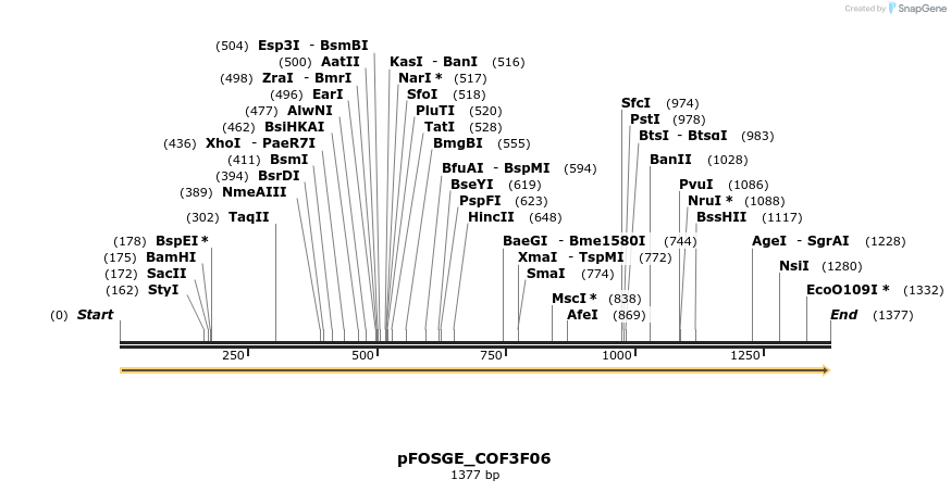 126862_map