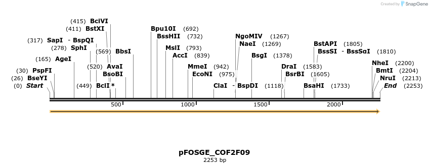 126864_map