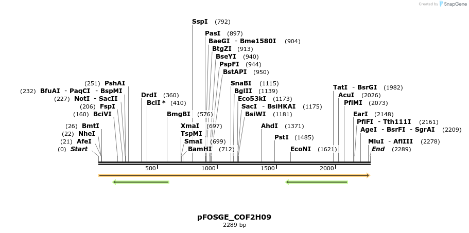 126866_map