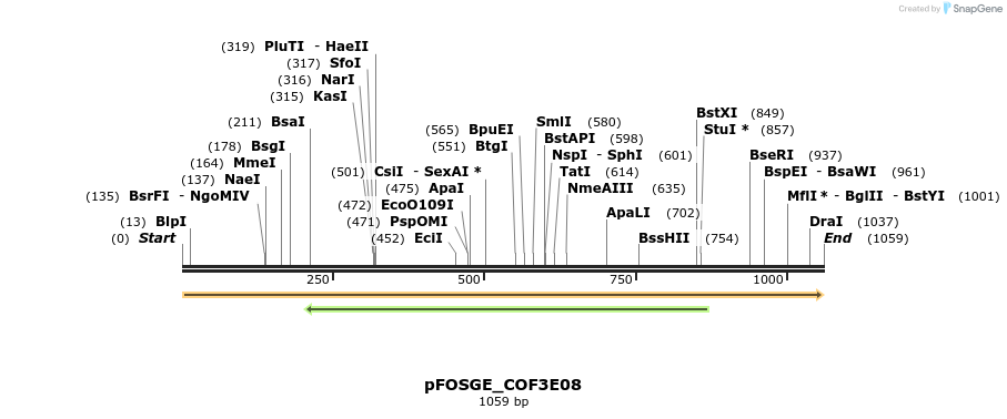126867_map