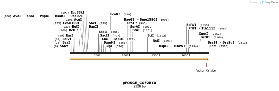 126868_map