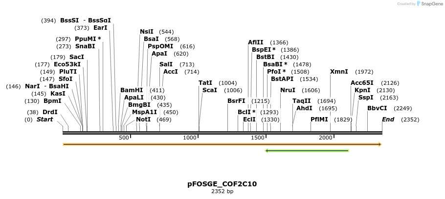 126869_map