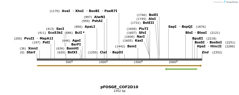 126870_map