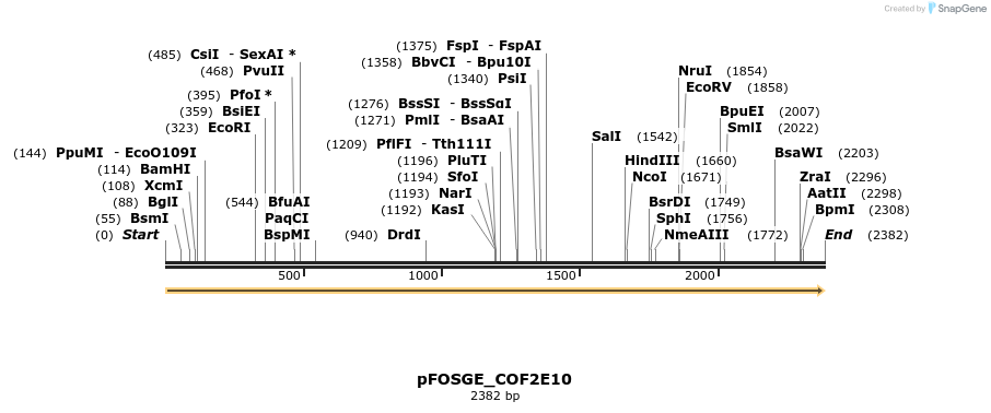 126871_map