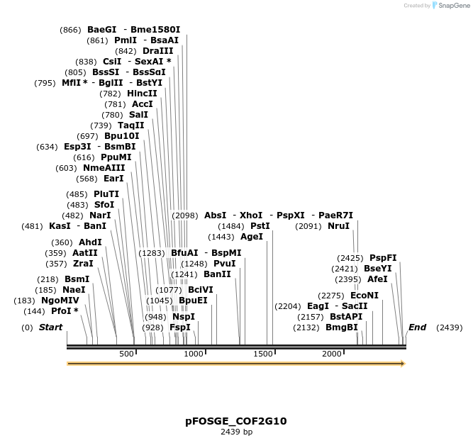 126872_map