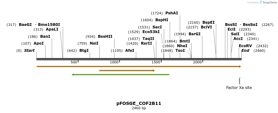 126875_map