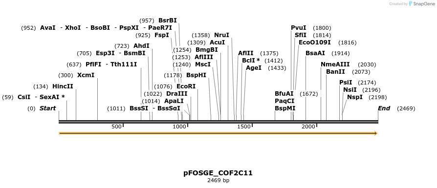 126876_map