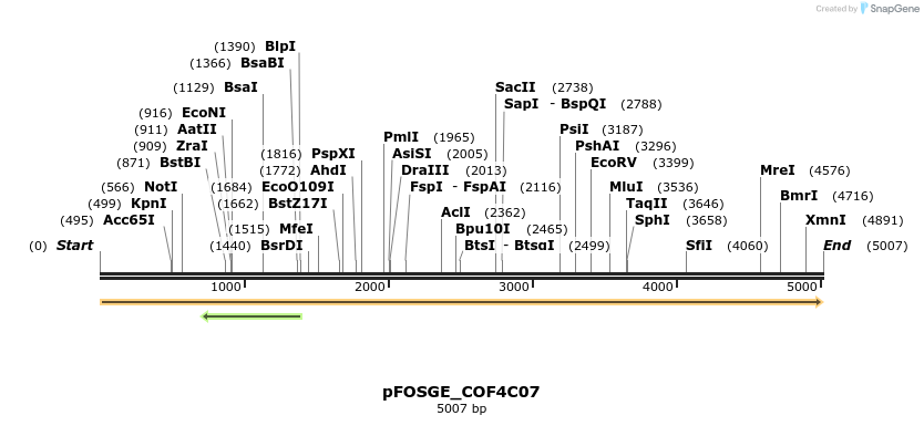 126878_map