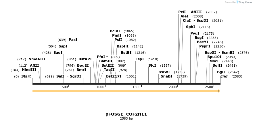 126879_map