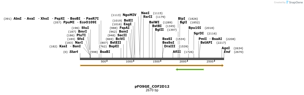 126881_map