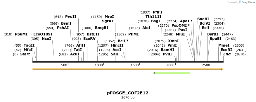 126882_map