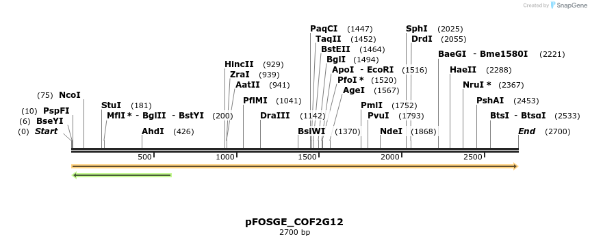126884_map