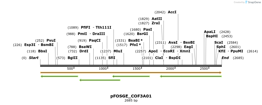 126885_map