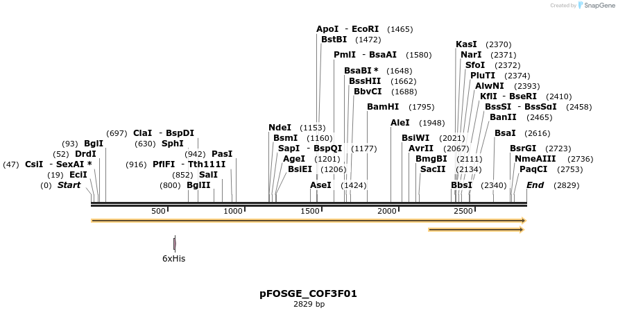 126889_map
