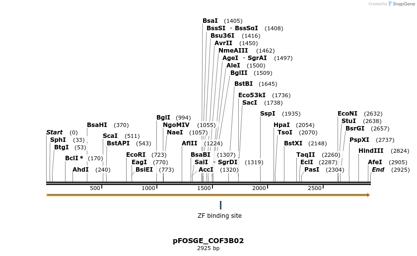 126892_map